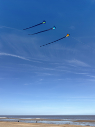 HuttoftMarch2026-031