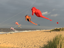 HuttoftMay2023-069