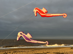 HuttoftMay2023-070