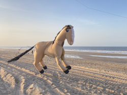 HuttoftMay2023-113