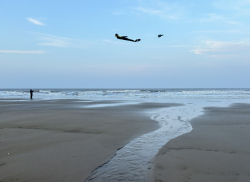 HuttoftMay2024-006