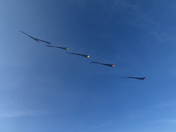 HuttoftMay2024-048