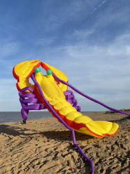 HuttoftMay2024-054