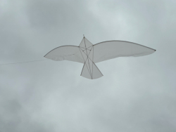HuttoftMay2024-076