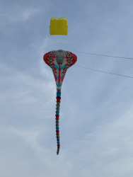 HuttoftMay2024-078