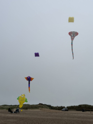HuttoftMay2024-091