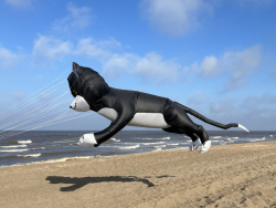 HuttoftMay2024-118
