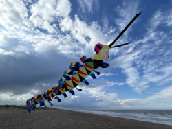 HuttoftMay2024-145