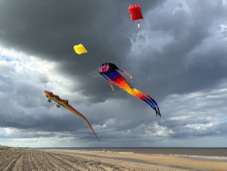 HuttoftMay2024-155