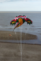 DCIM\100MEDIA\DJI_0067.JPG