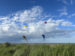 HuttoftMay2024-164