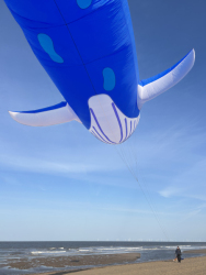 HuttoftMay2025-038