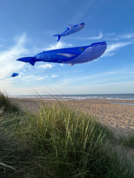 HuttoftMay2025-046