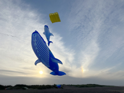 HuttoftMay2025-050