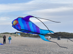 HuttoftMay2025-053