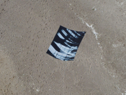 HuttoftMay2026-041