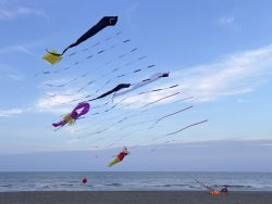 HuttoftMay2026-055