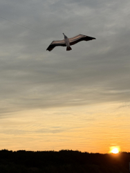 HuttoftMay2026-070