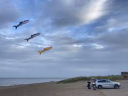 HuttoftSept2023-026