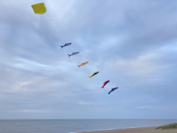 HuttoftSept2023-027