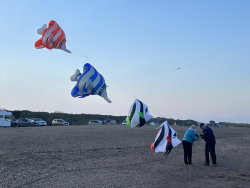 HuttoftSept2024-005