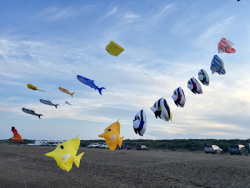 HuttoftSept2024-012
