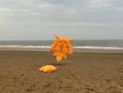 HuttoftSept2024-030
