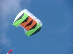 6b