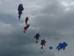 LastDrop2008-003