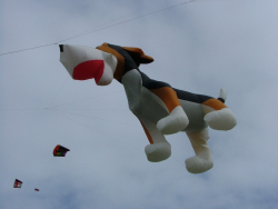 LastDrop2008-004