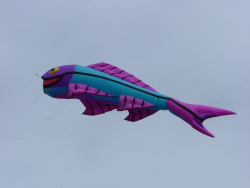 LastDrop2008-006