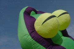 Last Drop 2008