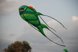 Lunen2008-009