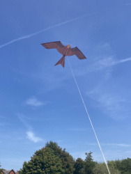 Lytham2022-011