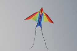Margate2009-015