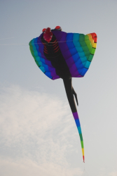 Margate2009-071