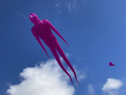 2l