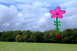 MiddletonPark2015-011