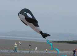 Morecambe2005-007