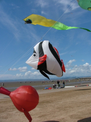 Morecambe2007-046