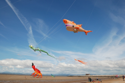 Morecambe2008-004