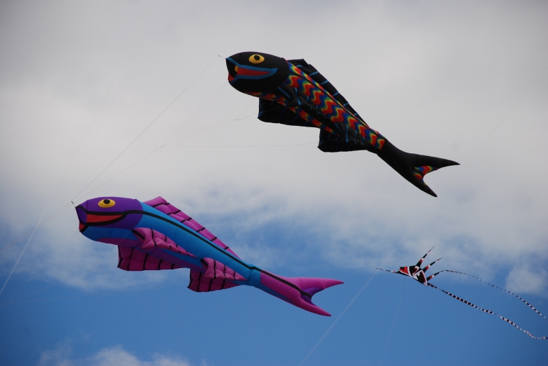 Morecambe2009-004