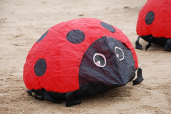 Morecambe2009-006