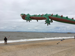 Morecambe2017-026