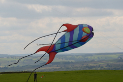 Nidderdale2011-007