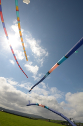 Nidderdale2011-052