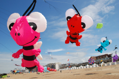 Oostende 2013