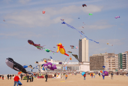oostende2013-075