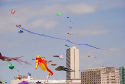 oostende2013-076
