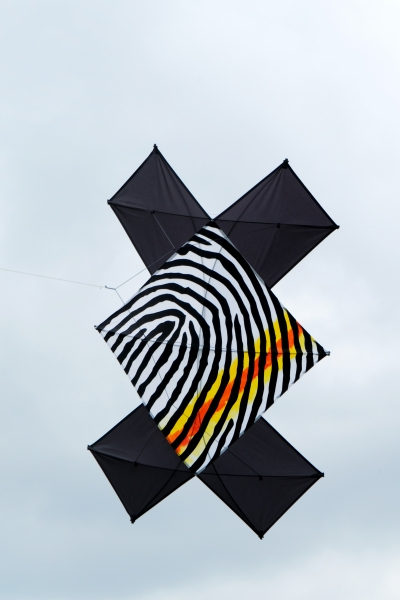 3d